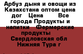 Арбуз,дыня и овощи из Казахстана оптом цена дог › Цена ­ 1 - Все города Продукты и напитки » Фермерские продукты   . Свердловская обл.,Нижняя Тура г.